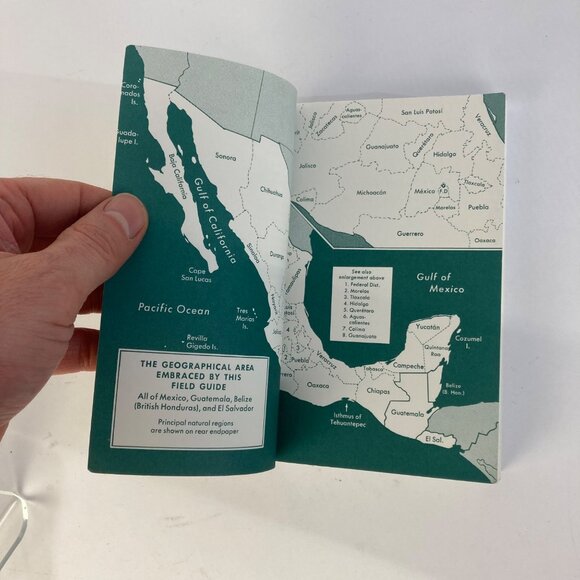 Vintage Peterson Field Guides Mexican Birds Book Copyright 1973 - Picture 3 of 6